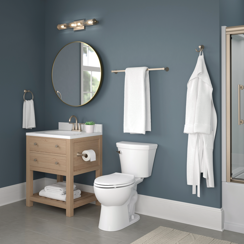 SpotShield Brushed Nickel / 24