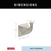 SpotShield Brushed Nickel / 1