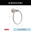 SpotShield Brushed Nickel / 1