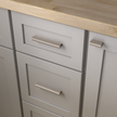 Satin Nickel / 1