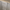 Satin Nickel / 1