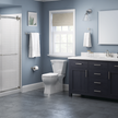 SpotShield Brushed Nickel / 24