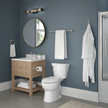 SpotShield Brushed Nickel / 1