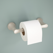 SpotShield Brushed Nickel / 1