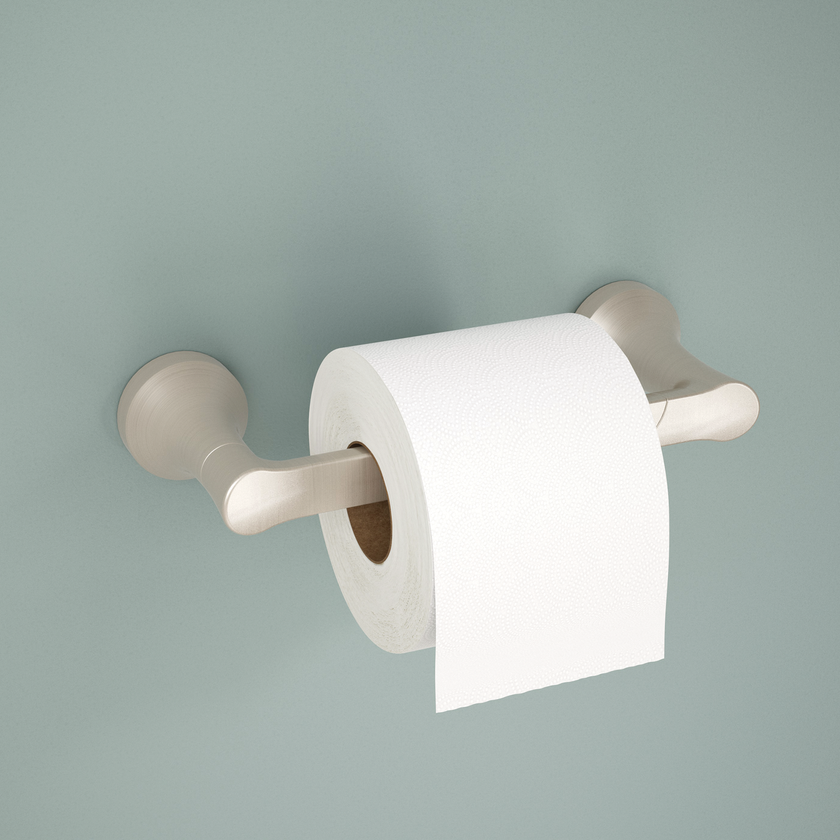 SpotShield Brushed Nickel / 1