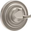 SpotShield Brushed Nickel / 1