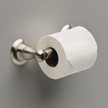 SpotShield Brushed Nickel / 1