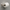 SpotShield Brushed Nickel / 1