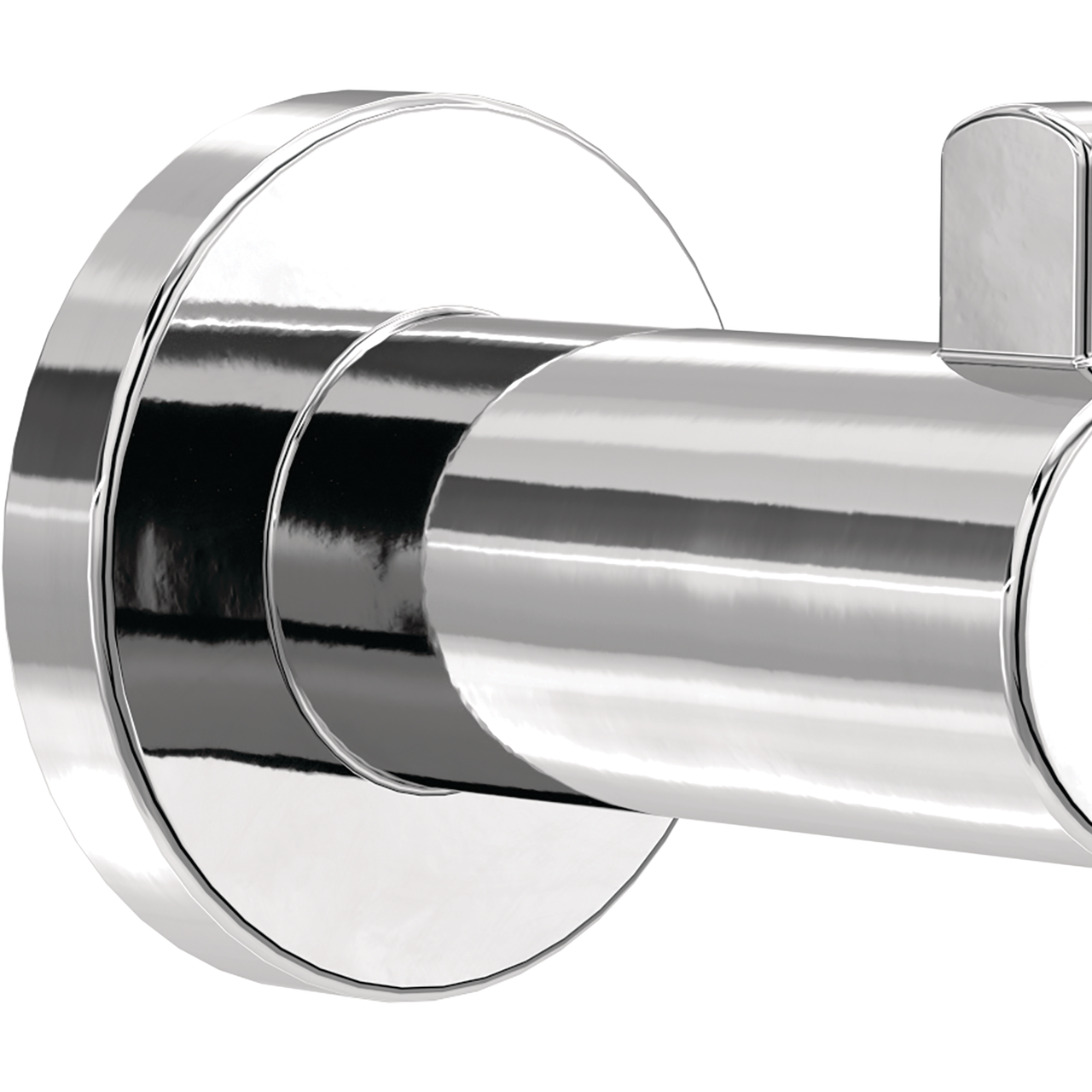 Polished Chrome / 1
