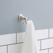 SpotShield Brushed Nickel / 1