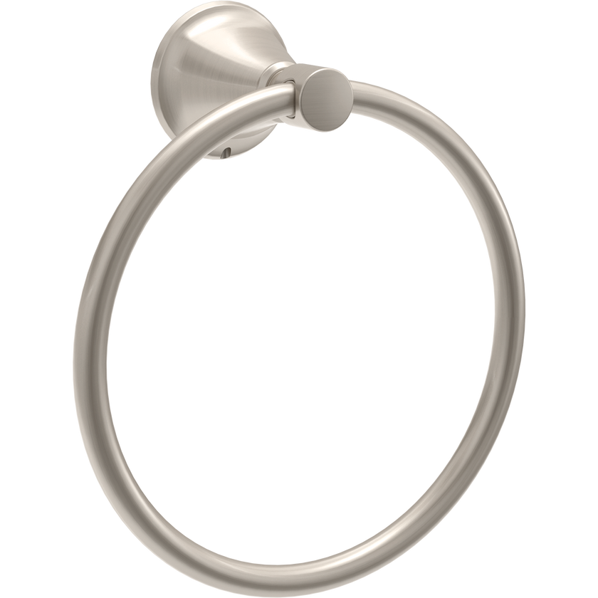 SpotShield Brushed Nickel / 1