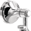 Polished Chrome / 1