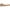 Champagne Bronze / 1