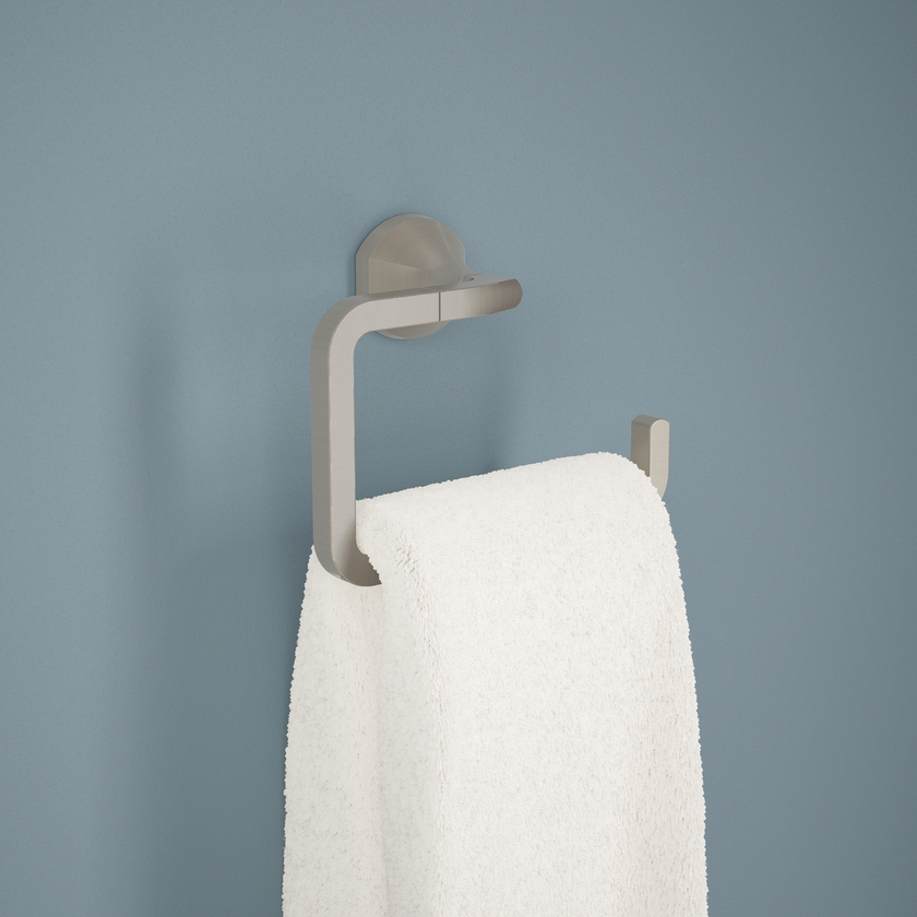 SpotShield Brushed Nickel / 1