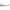 SpotShield Brushed Nickel / 18