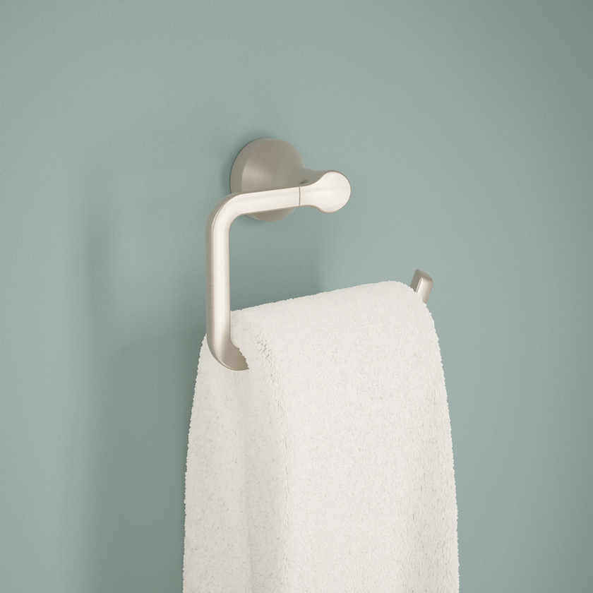 SpotShield Brushed Nickel / 1