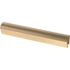 Champagne Bronze / 1