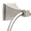 SpotShield Brushed Nickel / 1