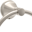SpotShield Brushed Nickel / 1