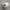 SpotShield Brushed Nickel / 24