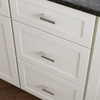 Satin Nickel / 3