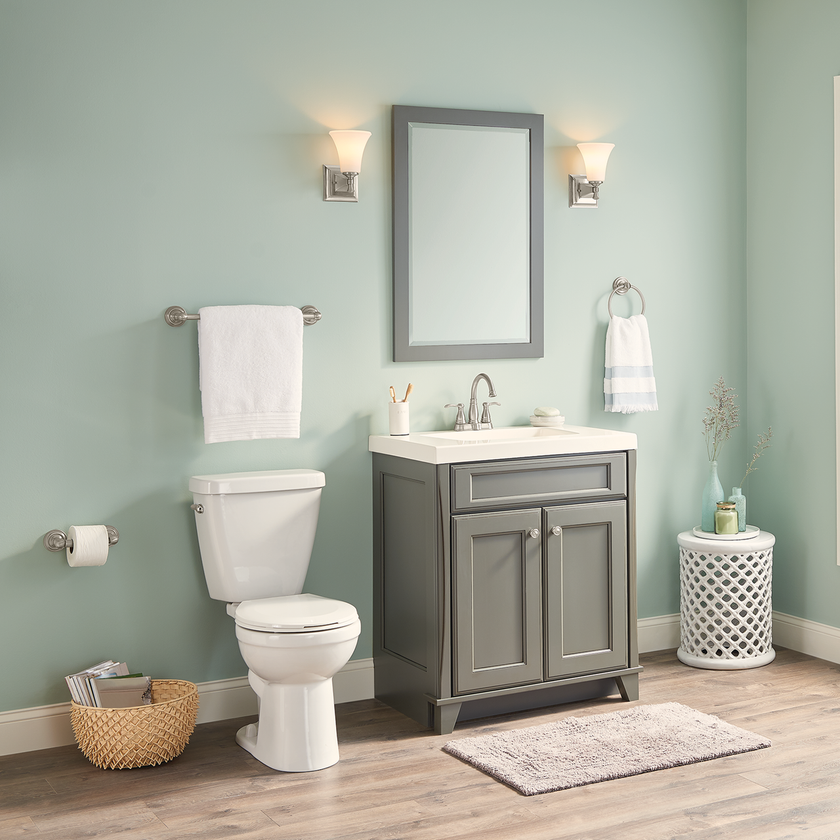 SpotShield Brushed Nickel / 1