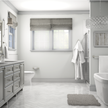 SpotShield Brushed Nickel / 18