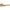Champagne Bronze / 1