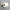 SpotShield Brushed Nickel / 1