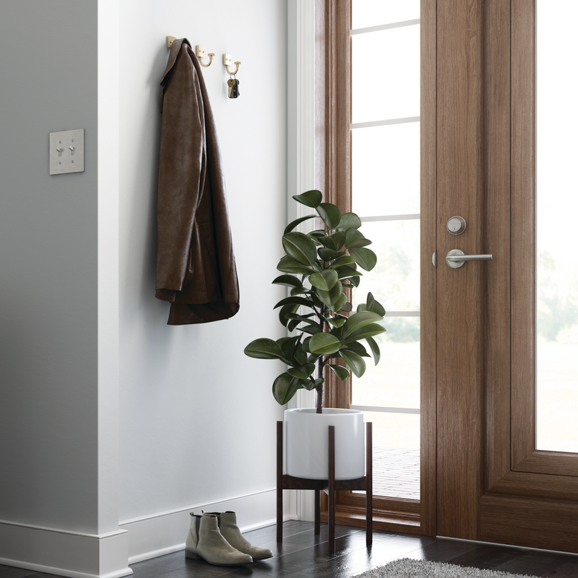 Champagne Bronze / 1