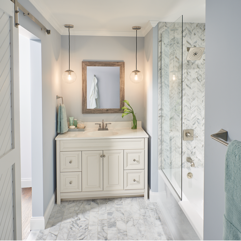 SpotShield Brushed Nickel / 1