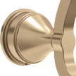 Champagne Bronze / 1