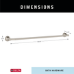 SpotShield Brushed Nickel / 24