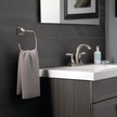 SpotShield Brushed Nickel / 1