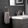 SpotShield Brushed Nickel / 1