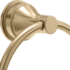 Champagne Bronze / 1