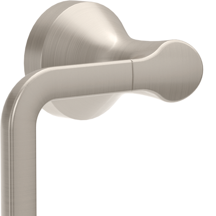 SpotShield Brushed Nickel / 1