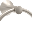 SpotShield Brushed Nickel / 1