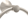SpotShield Brushed Nickel / 1