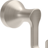 SpotShield Brushed Nickel / 1