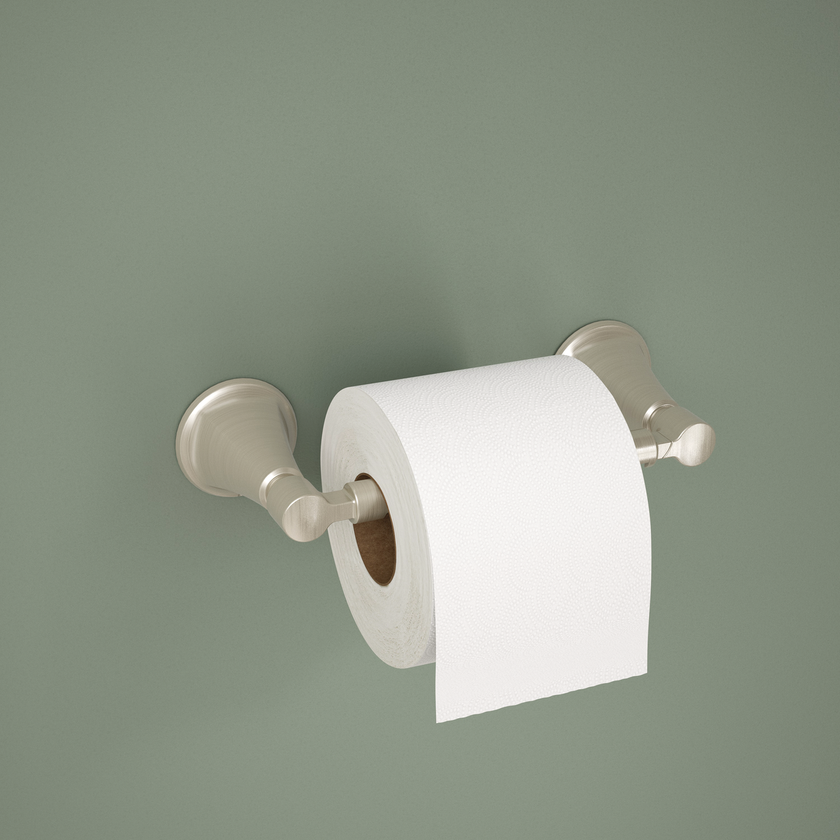 SpotShield Brushed Nickel / 1