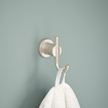 SpotShield Brushed Nickel / 1