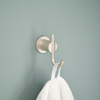SpotShield Brushed Nickel / 1