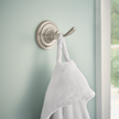 SpotShield Brushed Nickel / 1