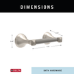 SpotShield Brushed Nickel / 1
