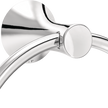Polished Chrome / 1