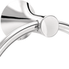 Polished Chrome / 1