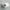 SpotShield Brushed Nickel / 1