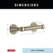 SpotShield Brushed Nickel / 1