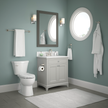 SpotShield Brushed Nickel / 24